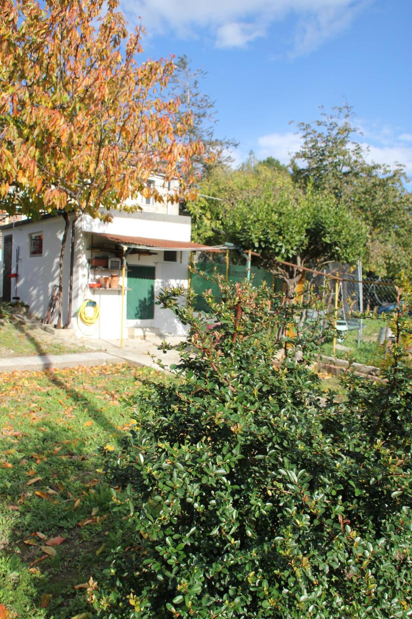 Villa Il Gelsomino Trieste Exterior foto